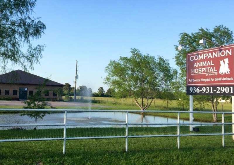 Carousel Slide 2: Learn more about us