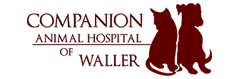 Link to Homepage of Companion Animal Hospital of Waller