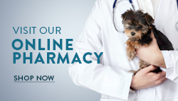 online pet pharmacy